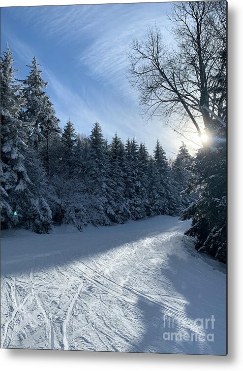  Metal Print featuring the photograph Winter Wonderland by Annamaria Frost