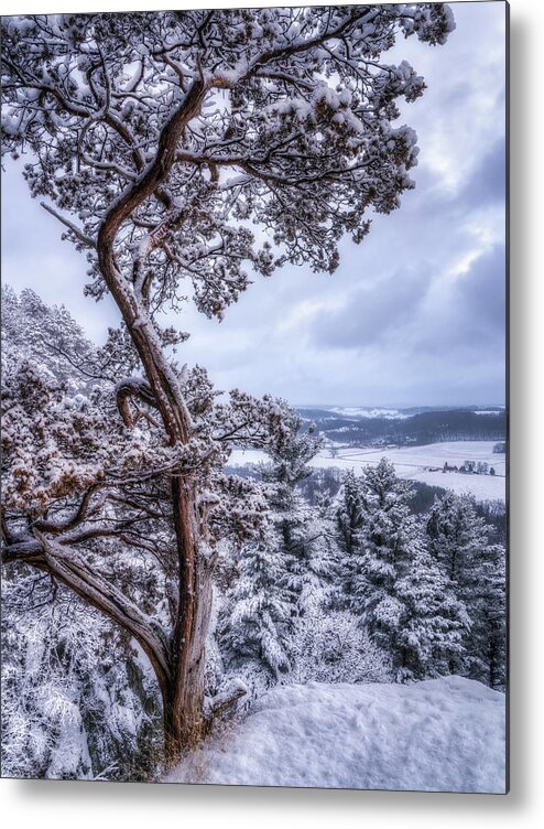 Snow Metal Print featuring the photograph Winter Wonderland #2 by Brad Bellisle