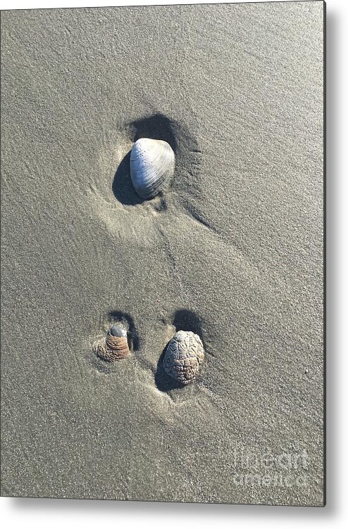 Seashells Metal Print featuring the photograph 3 Seashells by Mary Kobet