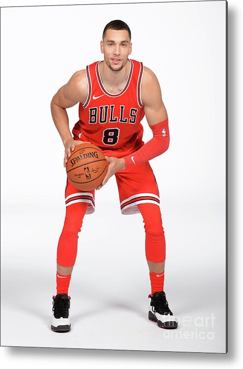 Media Day Metal Print featuring the photograph Zach Lavine by Randy Belice