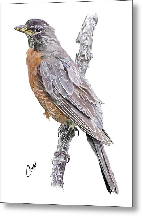 Robin Metal Print featuring the digital art American Robin by Shawn Conn