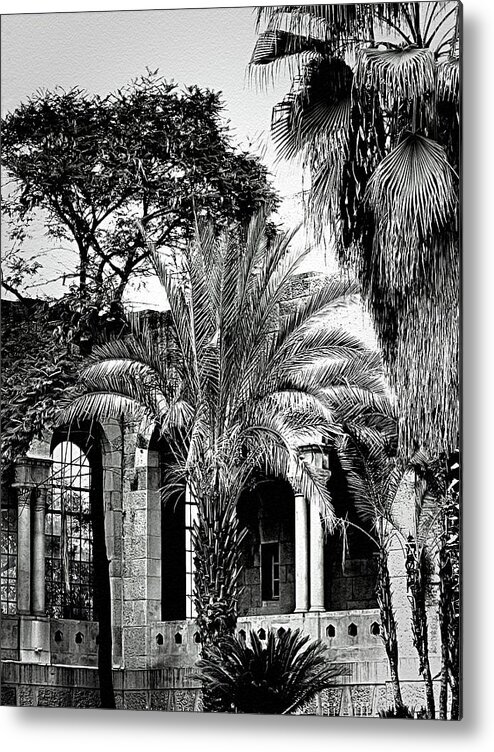 Pamela Storch Metal Print featuring the photograph Arches and Palm Trees in Jerusalem by Pamela Storch