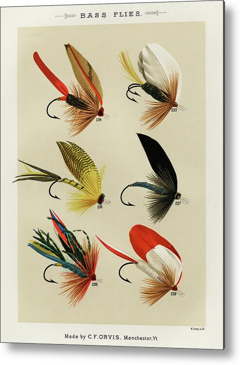 Bass Fishing Flies III from Favorite Flies and Their Histories Metal Print  by Mary Orvis Marbury - Fine Art America