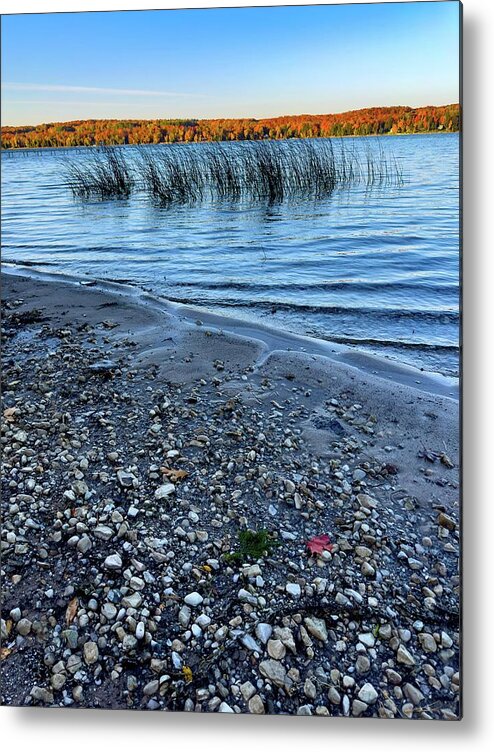 Tahquamenon Falls Metal Print featuring the photograph Beach Colors IMG_5851 by Michael Thomas