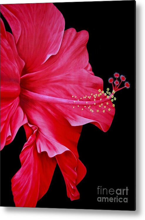 Red Hibiscus Flowers Metal Print featuring the painting Big Red by Mary Deal