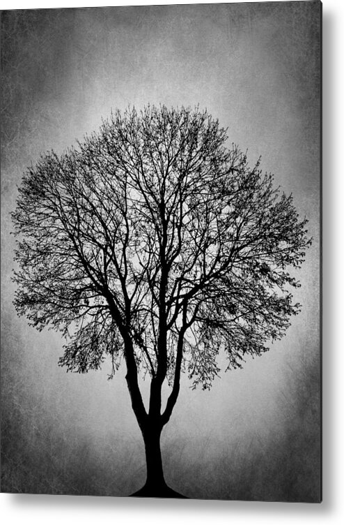 Tree Metal Print featuring the digital art Black and White Tree Design 206 by Lucie Dumas