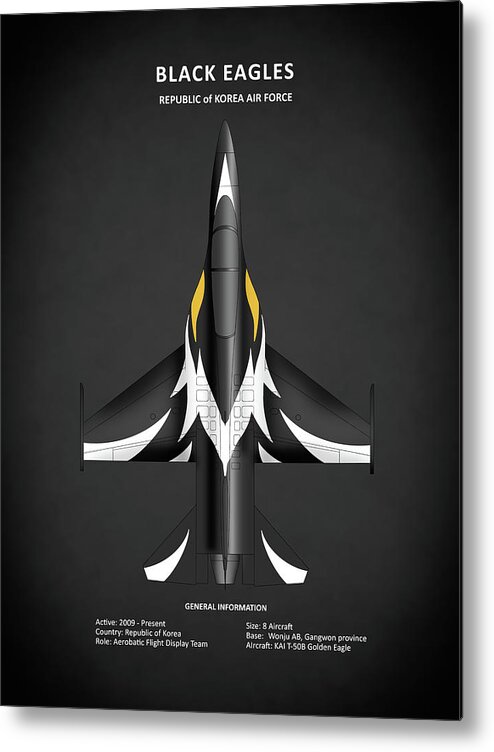 Black Eagles Aerobatic Team Metal Print featuring the photograph Black Eagles Aerobatic Team by Mark Rogan