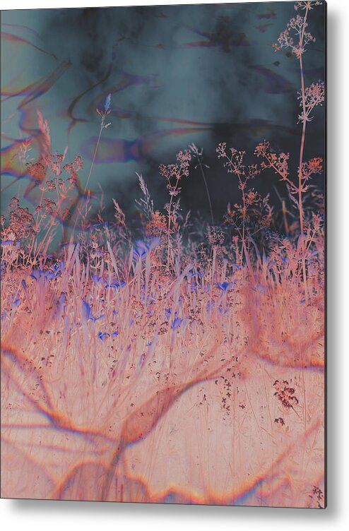 A Shot Of A Robust Meadow Manipulated For A Fantasy Piece Of Art. Metal Print featuring the photograph Burning meadow by Nicole March