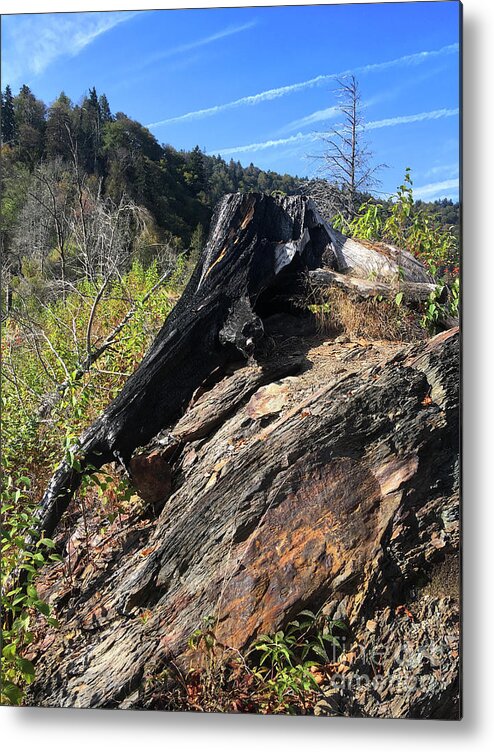 Chimney Tops Metal Print featuring the photograph Chimney Tops 20 by Phil Perkins