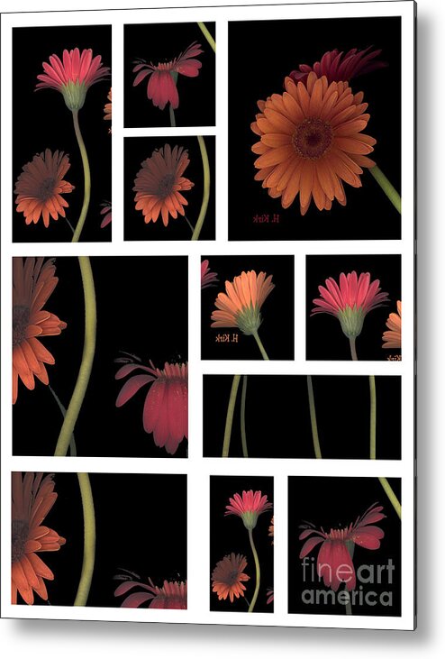 Daisy Metal Print featuring the photograph Daisy Block by Heather Kirk