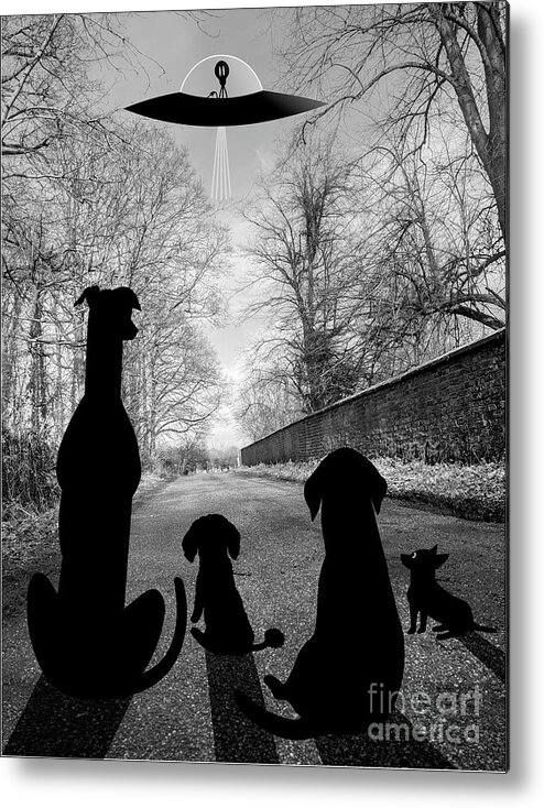 Dogs Metal Print featuring the digital art Dogs Spy Alien in Flying Saucer by Donna Mibus