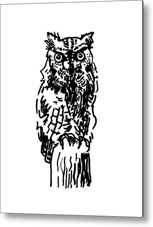  Eastern Screech-owl Metal Print featuring the drawing Eastern Screech-Owl by Masha Batkova