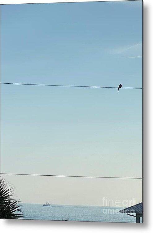 Bird On A Wire Metal Print featuring the photograph Easy Living by LeLa Becker
