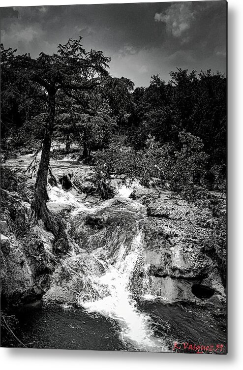 Tree Metal Print featuring the photograph Edge Falls Boerne, TX BW by Rene Vasquez