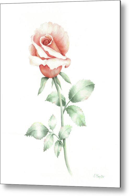 Rose Metal Print featuring the painting Faith by Lori Taylor