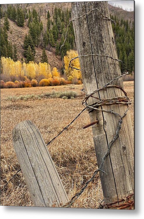 Close-up Metal Print featuring the photograph Barbed Wire Mountain Fence by Jerry Abbott