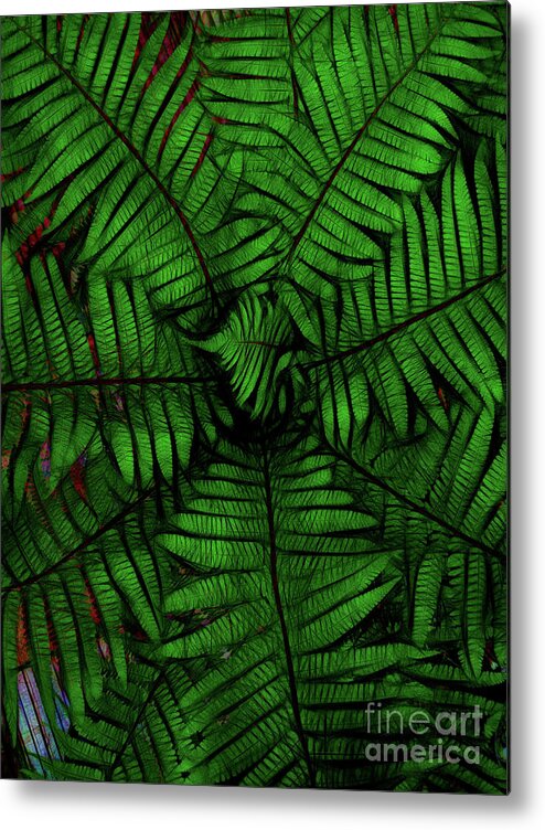 Fern Metal Print featuring the photograph Fern Blades by Yvonne Johnstone