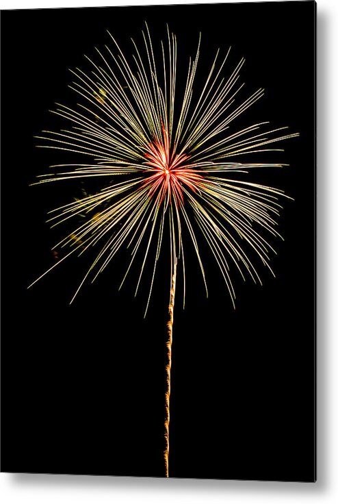 Firework Metal Print featuring the photograph Flower Explosion  by Kevin Lane