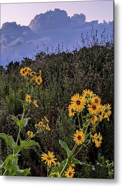  Metal Print featuring the photograph Flowers at Brandywine Falls by Brad Nellis