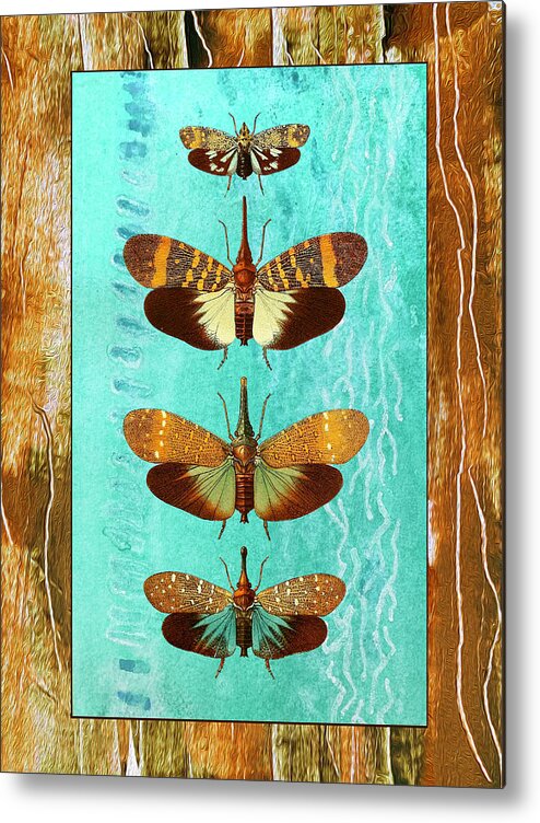 Lepidoptera Metal Print featuring the mixed media Four Butterflies Entemology Society of London by Lorena Cassady