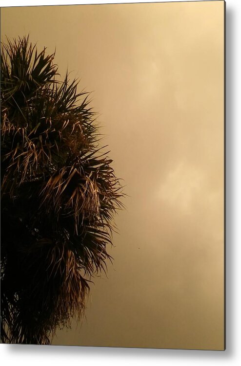 Tranquility Metal Print featuring the photograph Gray as the sky by Andrea Mendoza / FOAP