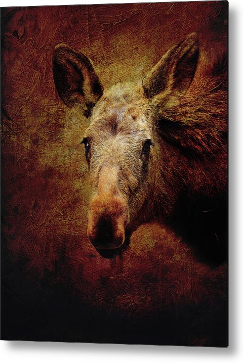 Grunge Moose Head Metal Print featuring the mixed media Grunge Moose Head by Dan Sproul