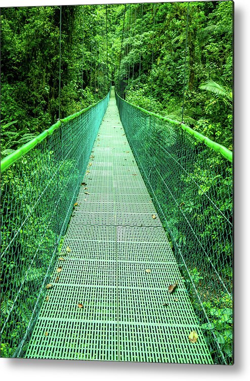 Hanging Bridge Metal Print featuring the photograph Hanging Bridge in Cloud Forest in Monte Verde Costa Rica by Leslie Struxness