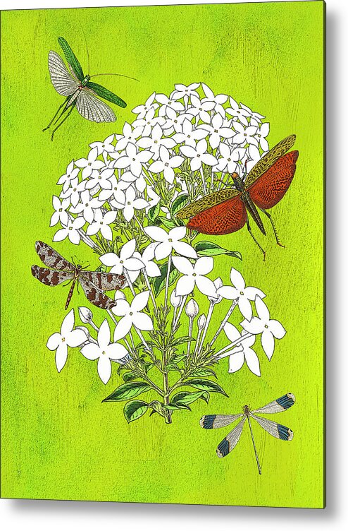 Dragonfly & Jasmine Metal Print featuring the digital art Jasmin and Dragonflies by Lorena Cassady