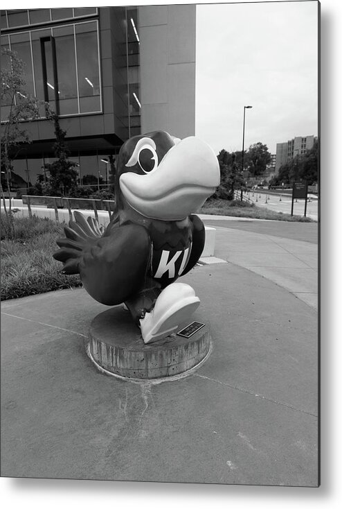 Kansas Jayhawks Metal Print featuring the photograph Kansas Jayhawks statue in black and white by Eldon McGraw