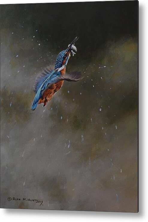 Kingfisher Metal Print featuring the painting Kingfisher Flying by Alan M Hunt