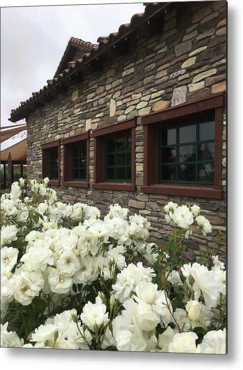 Lorimar Winery Metal Print featuring the photograph Lorimar Roses by Roxy Rich
