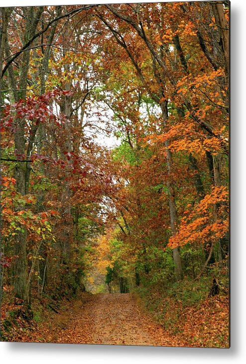 Fall Metal Print featuring the photograph Lost On A Country Road by Gina Fitzhugh