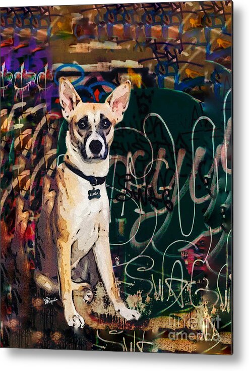 Dog Metal Print featuring the photograph Luna by Diana Rajala