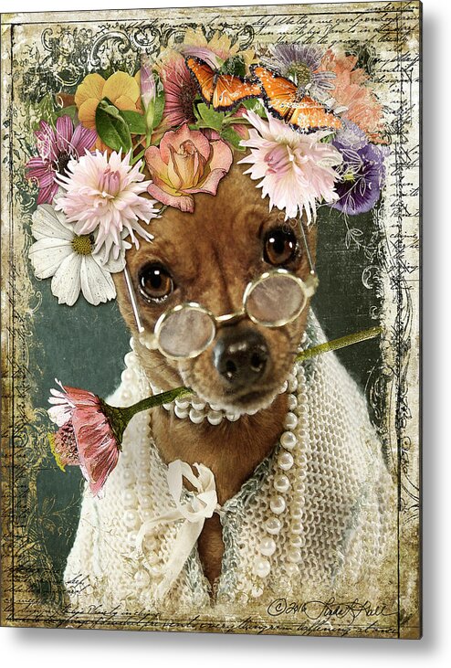 Minpin Metal Print featuring the digital art Maddy in Her Good Pearls by Linda Lee Hall