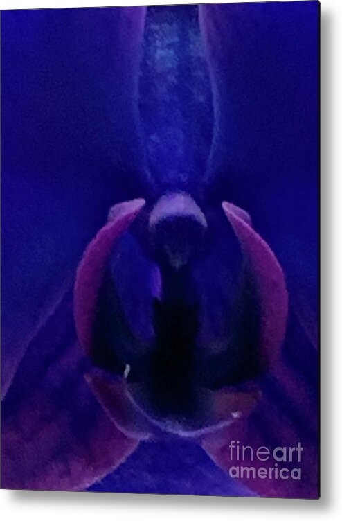 Orchid Metal Print featuring the photograph Midnight Apparence by Tiesa Wesen