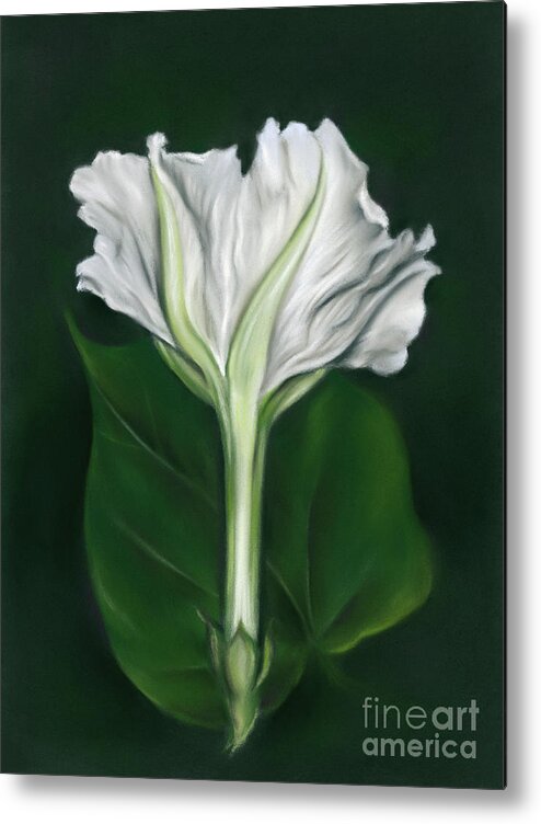 Botanical Metal Print featuring the painting Moonflower Opening After Dark by MM Anderson