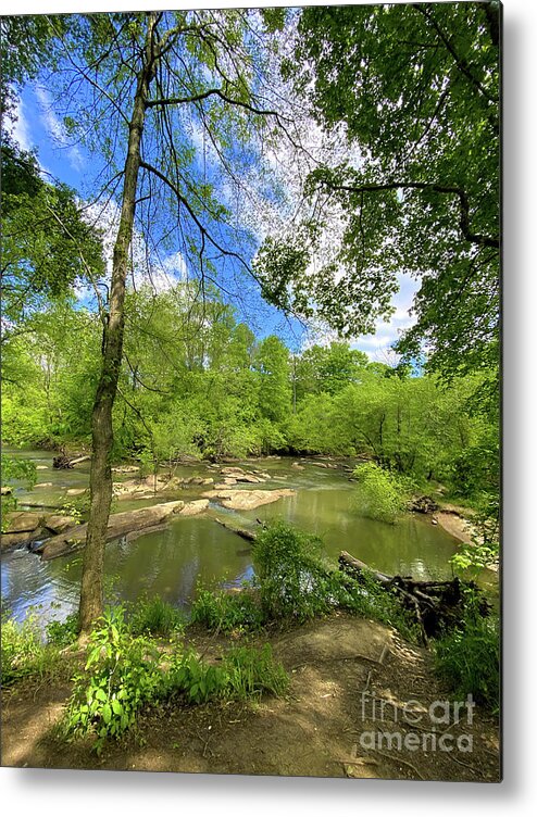 Neuse River Trail Metal Print featuring the photograph Neuse River Trail - Raleigh North Carolina by Kerri Farley