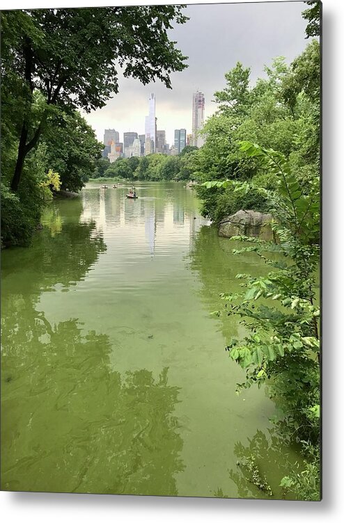 Nyc Metal Print featuring the photograph NYC Across Lake, July by Judy Frisk