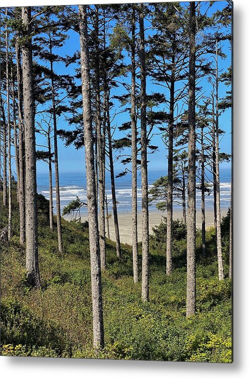 Beach Metal Print featuring the photograph Pacific Ocean at Seabrook 2 by Jerry Abbott