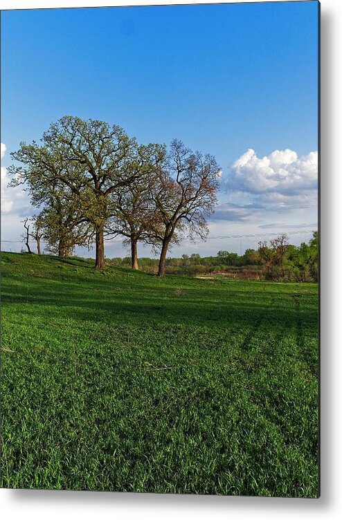 Middleton Metal Print featuring the photograph Pheasant Branch Conservancy 2, Middleton, WI by Steven Ralser