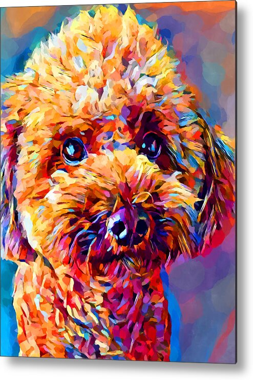Dog Metal Print featuring the painting Poodle 2 by Chris Butler