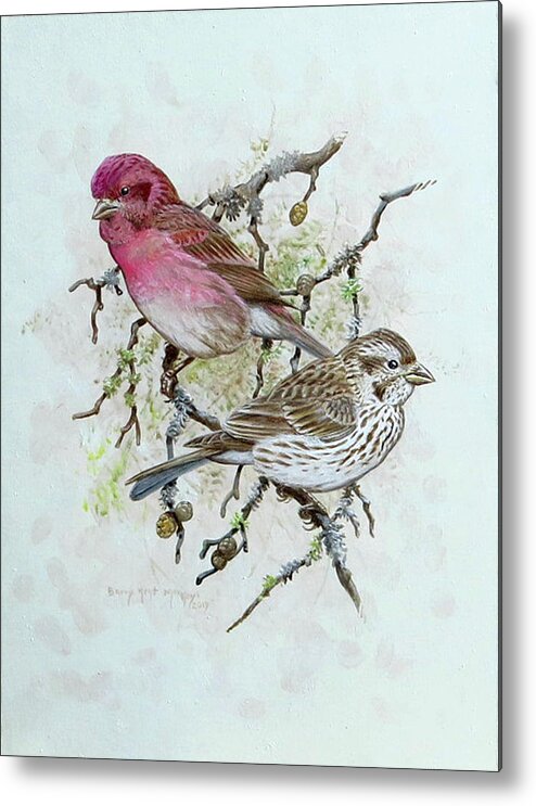 Purple Finch Metal Print featuring the painting Purple Finches by Barry Kent MacKay