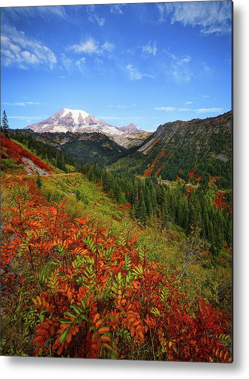 Mount Rainier National Park Metal Print featuring the photograph Rainier Fall Delight by Dan Mihai