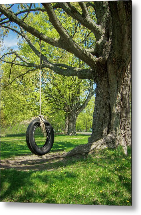 Midwest Metal Print featuring the photograph Rope Swing on the Old Maple Tree by Mary Lee Dereske