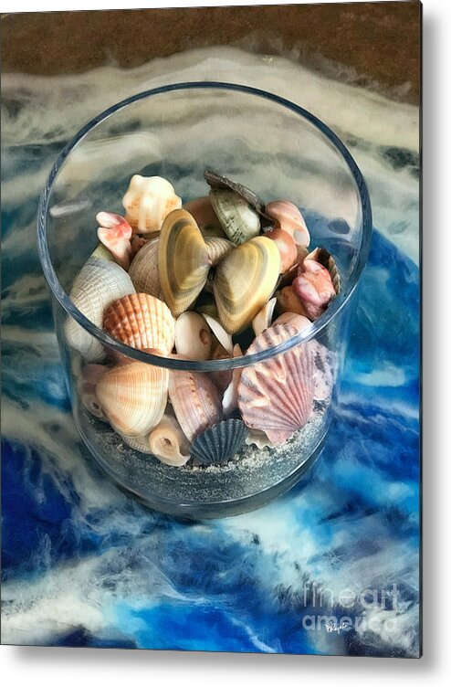 Seashells Metal Print featuring the photograph Seashell Selection by Diana Rajala