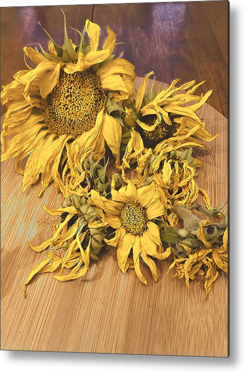 Sunflowers Metal Print featuring the digital art Seasons End by Juliette Becker