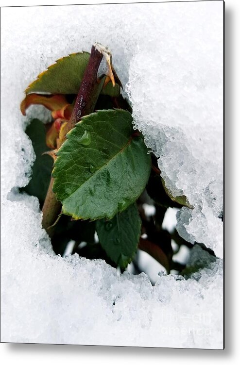 Snow Metal Print featuring the digital art Sneaking out by Yenni Harrison