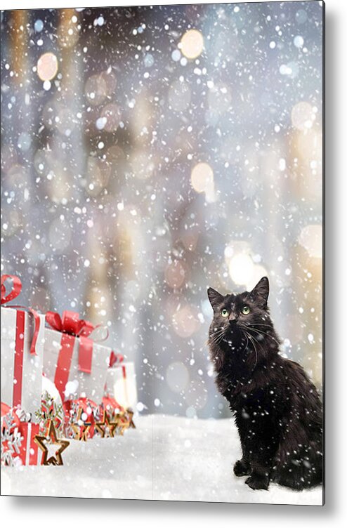 Susan Molnar Metal Print featuring the photograph Snow Kitty and Gifts by Susan Molnar