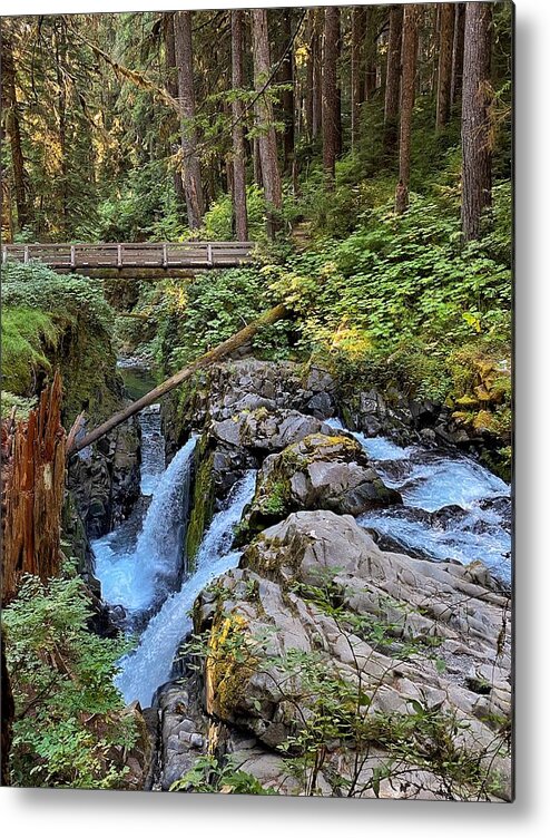 Waterfalls Metal Print featuring the photograph Sol duc Falls 2 by Jerry Abbott