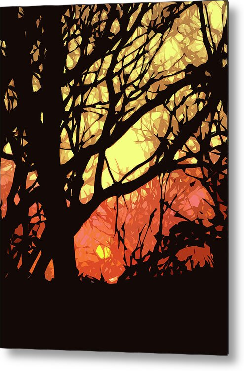 Sunset Metal Print featuring the digital art Spectacular Sunset by Nancy Olivia Hoffmann